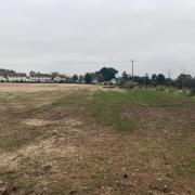 The planned site of 160 homes on the Cannington bypass.