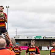 Albion win a line out