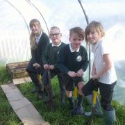 Stogursey C of E Primary School, with funding from Wessex Water, has purchased a polytunnel