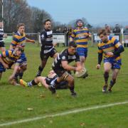 TOUCH DOWN: Jack Coles scores North Petherton's fifth try against Clevedon. Pic: Nick Hancock