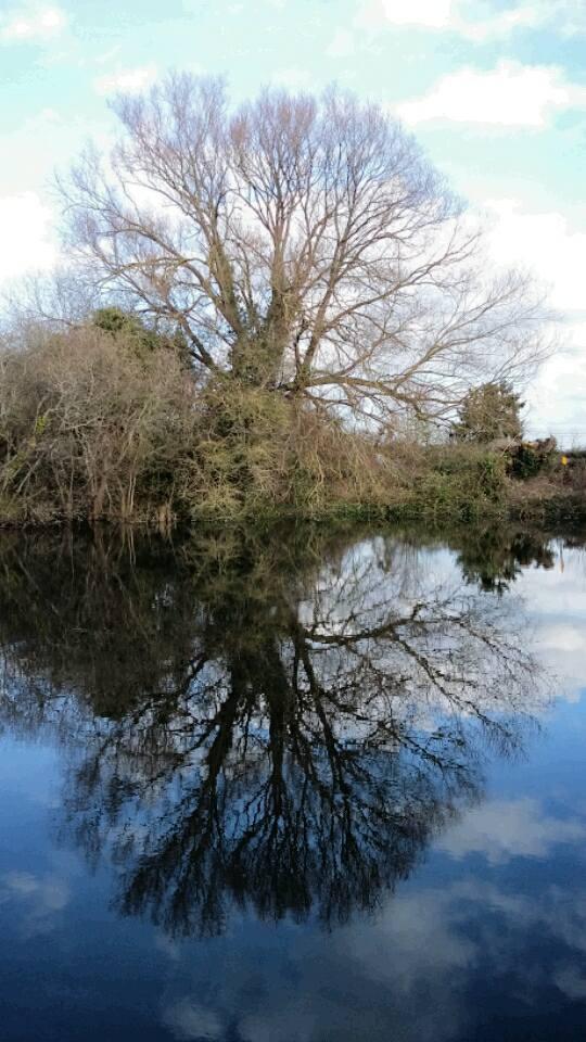 Dunwear Ponds, near Bridgwater. PICTURE: Ruth Baker. Published: March 14