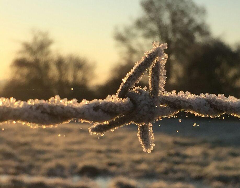 A cold Somerset morning. PICTURE: Steve Osborne. Published: March 21