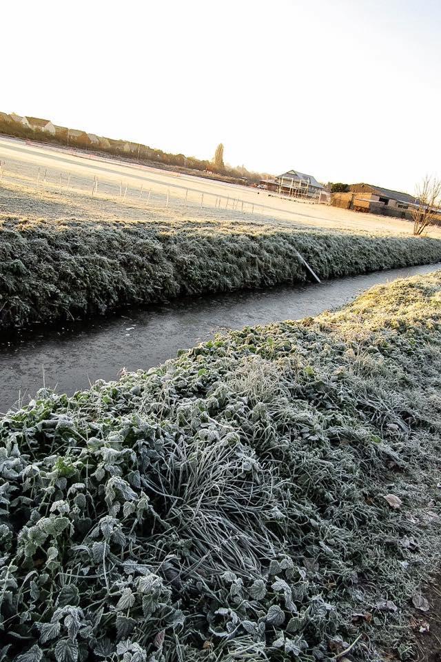 CHILLY: A frosty morning in Wembdon by Roxi Watts. Published: March 28, 2017