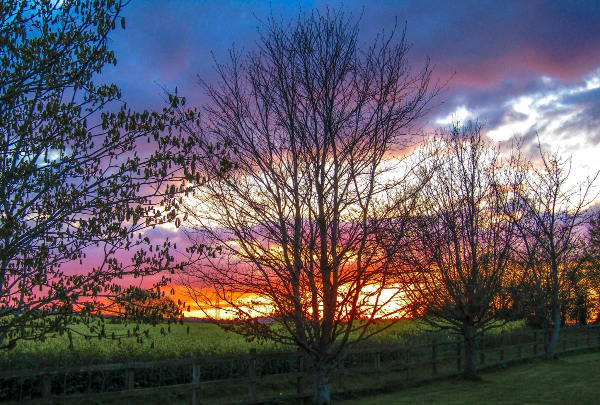 VIVID: Stunning sunset and view near Bridgwater by Katie Lou. Published: April 4, 2017