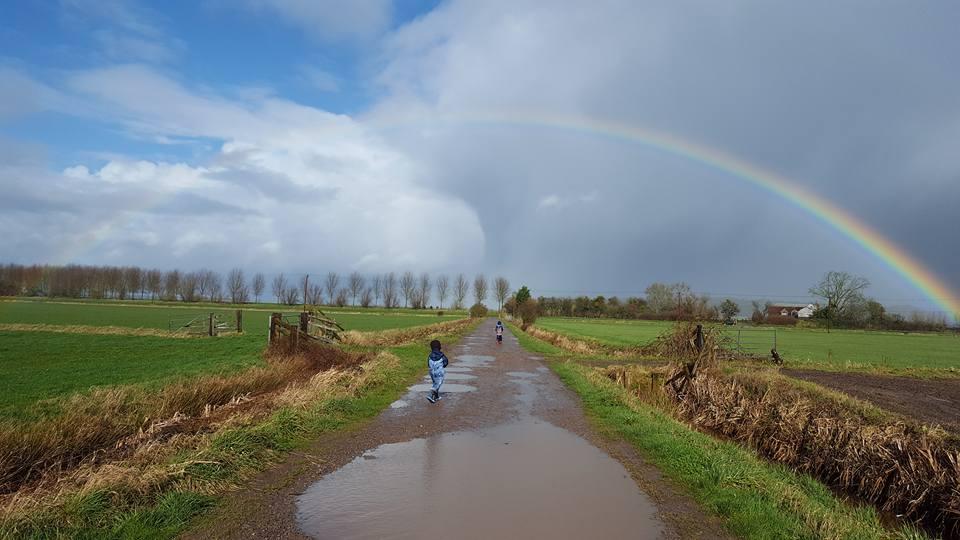 RAINBOW: On the Levels near Stathe by Ian Downes. PUBLISHED: April 18, 2017