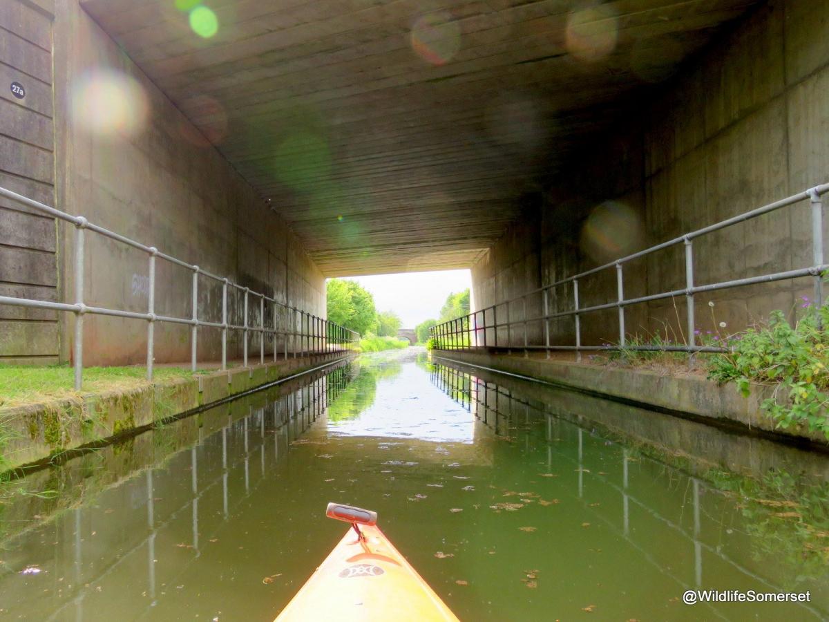 The motorway bridge over the Bridgwater Taunton Canal by Stephen Hembery. PUBLISHED: May 17, 2017.