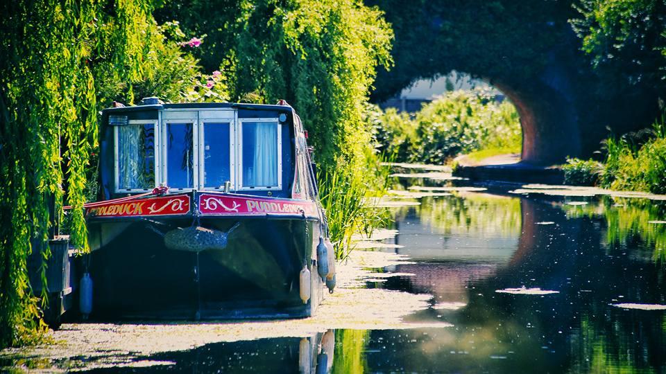 On the Bridgwater Taunton Canal by Daniel Tazewell. PUBLISHED: July 11, 2017.