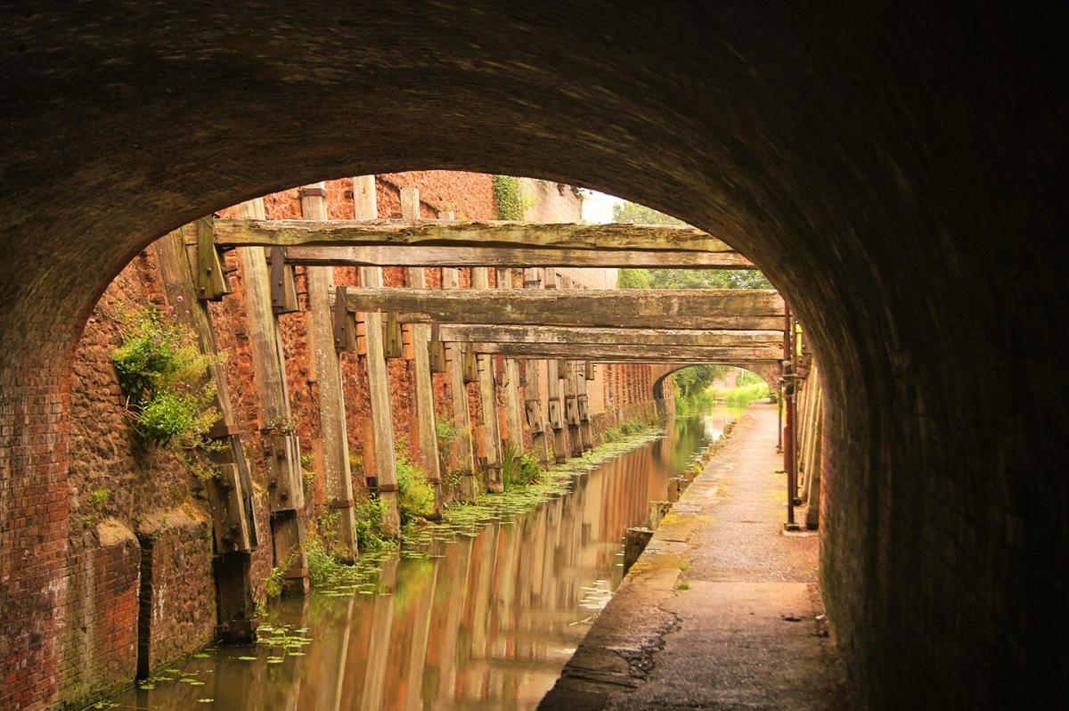 Shadows on the Bridgwater Taunton Canal by Aidan Peppin. PUBLISHED: August 1, 2017.