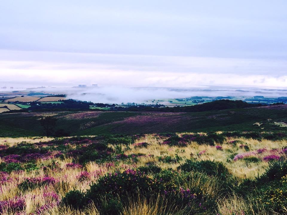 From the Quantocks to Hinkley Point by Gemma Rexworthy. PUBLISHED: August 22, 2017.