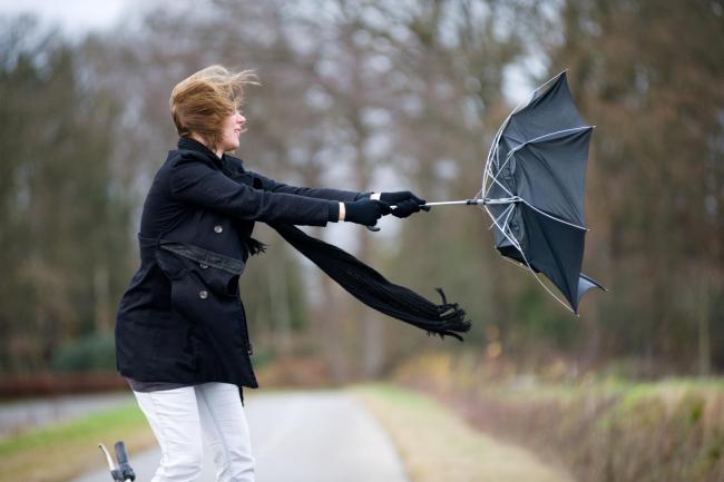 WIND: A yellow weather warning has been issued for Somerset. Pic: Getty Images