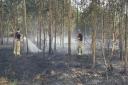 Fire crews warn against woodland fires, issue tips.
