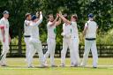 Pethy players celebrate a wicket.