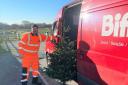 Biffa collecting trees last years. Picture: St Margaret's Hospice