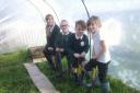 Stogursey C of E Primary School, with funding from Wessex Water, has purchased a polytunnel