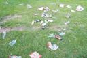 Litter in Vivary Park back in 2011