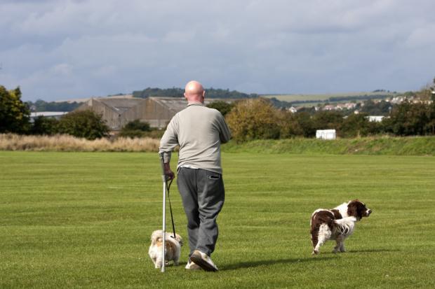 New dog walking arena could be built in Puriton