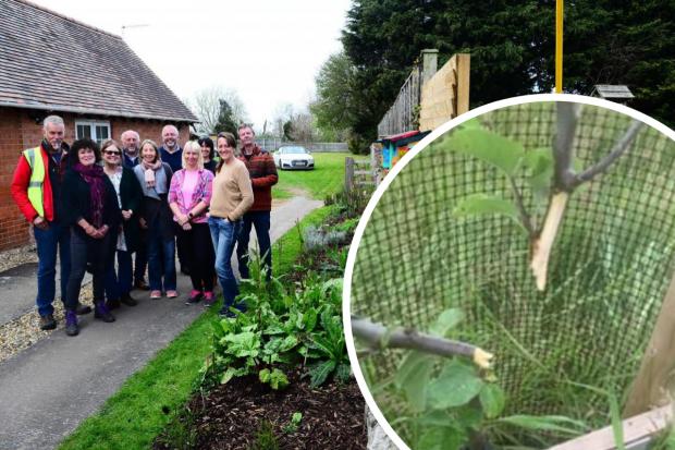 Volunteers from the Chedzoy Fair Share Project Community Group at the official opening of the new nature walk in April. Picture: Steve Richardson. INSET: Damage to the community orchard.