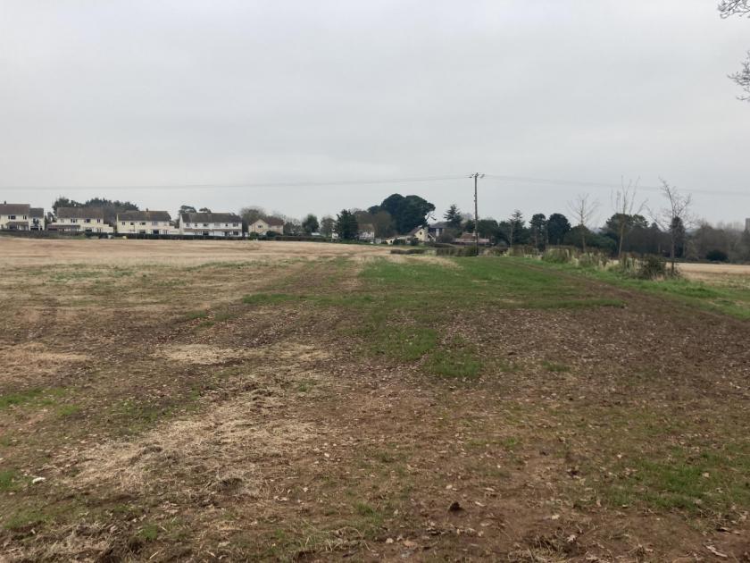 Cannington: 160 new homes planned near Hinkley Point C 