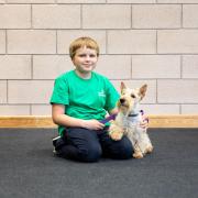 The camp helped to strengthen the bonds between dog and owner.
