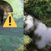 The Environment Agency have issued a statement regarding the potential presence of toxic algae in the Durleigh Brook.