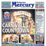 Eight page guide to Bridgwater Carnival: Download here