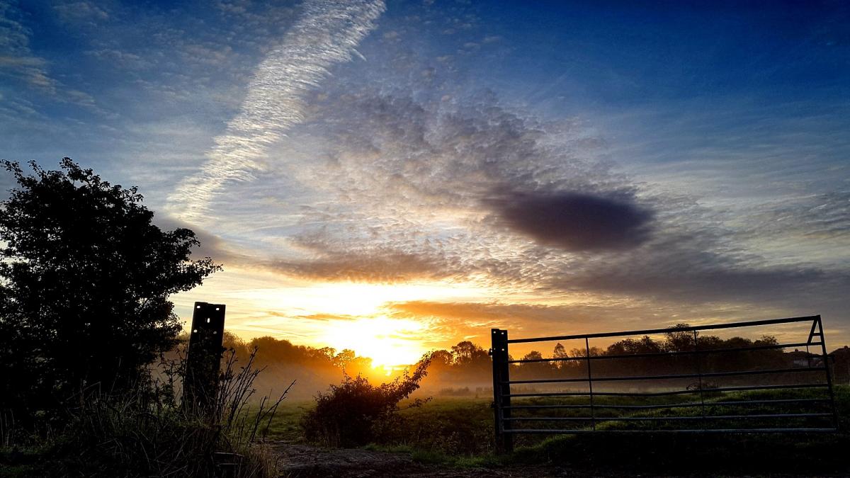 GLORIOUS MORNING: Near Bridgwater by Graeme Neal. PUBLISHED: October 17, 2017