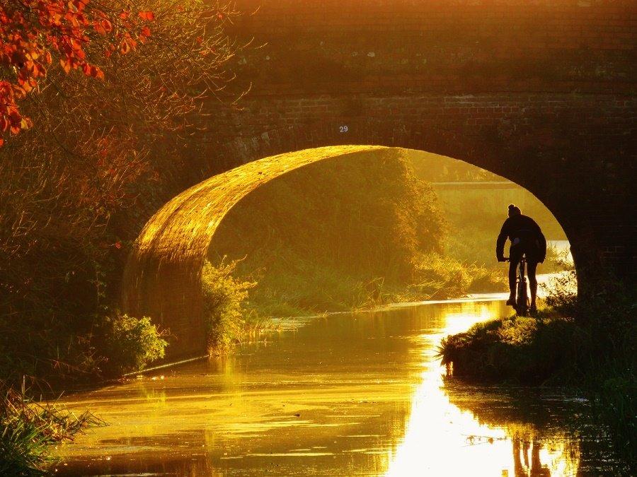 PEACEFUL EXERCISE: Cycling along the Bridgwater Taunton Canal by Stephen Hembery. PUBLISHED: October 24, 2017